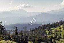 大象传媒直播网站-大象传媒直播网站，重塑娱乐与信息传播的新篇章