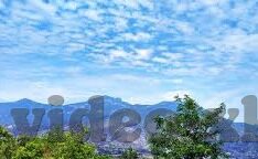 果冻传媒裸辞在线观看-探索果冻传媒裸辞的在线观看现象，新时代的职场与娱乐交织