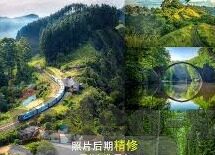 伦理电影网站日本-伦理电影的多元视角，日本网站的文化探索