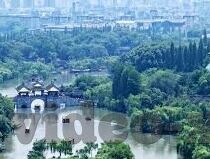麻豆一区二区三区av-迷雾之下的内容之辨，网络信息审慎与个体自我认知适度提升的思考