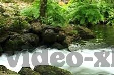 免费在线观看伦理电影-免费在线伦理电影，道德与艺术的和谐共舞