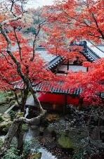 日韩av电影一区二区-日韩影视文化中的独特视角，一区二区的探索与思考