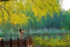 神马午夜麻豆视频-神马午夜麻豆视频，现代网络文化的一个缩影