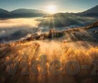 天天啪在成人线视频-成人世界的一瞥，理性审视天天啪在成人线视频现象